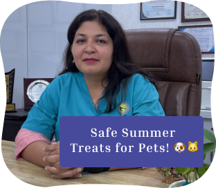 summer-treat-banner